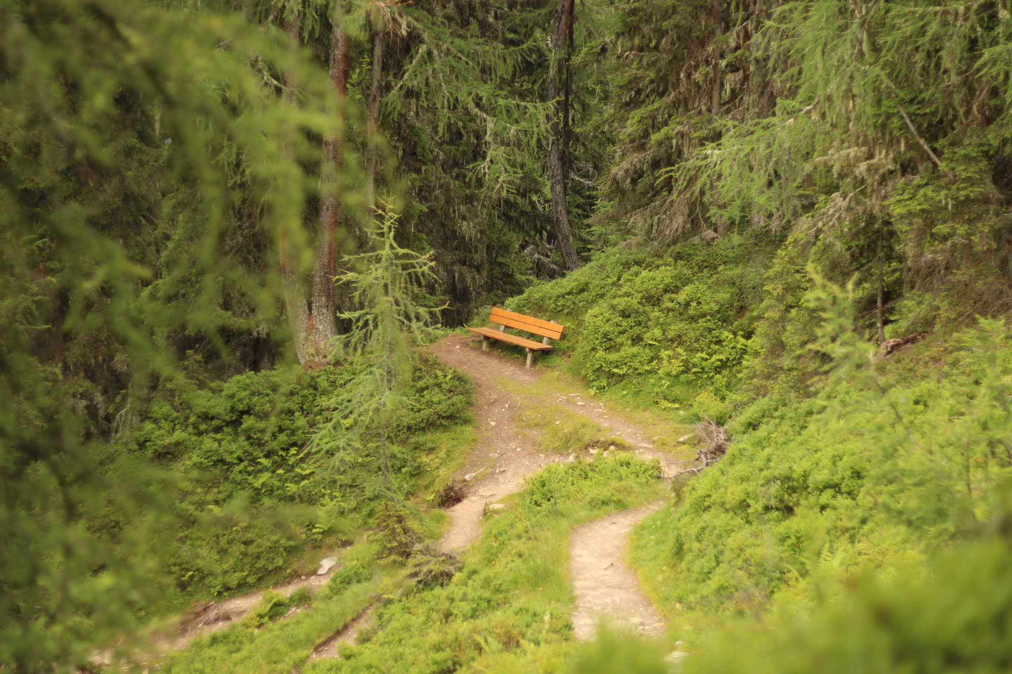Hochwurzen – hike trail
