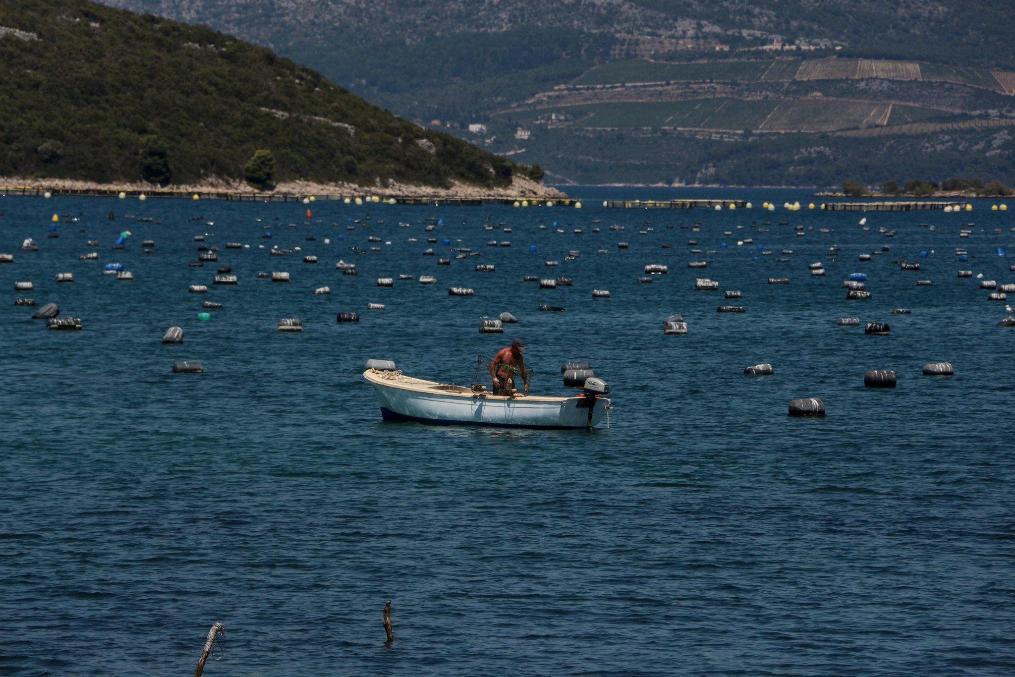 l'aquaculture en Croatie