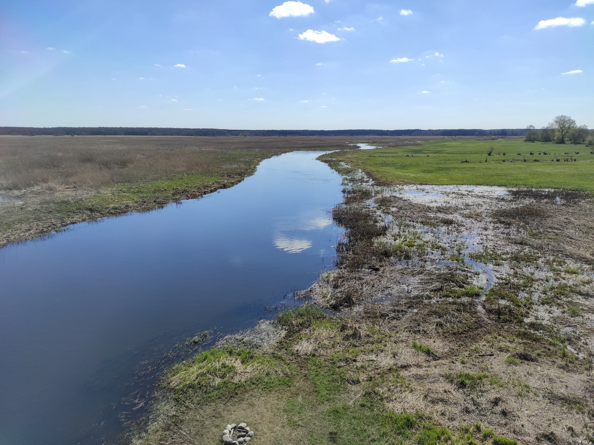 Nationalpark Narew