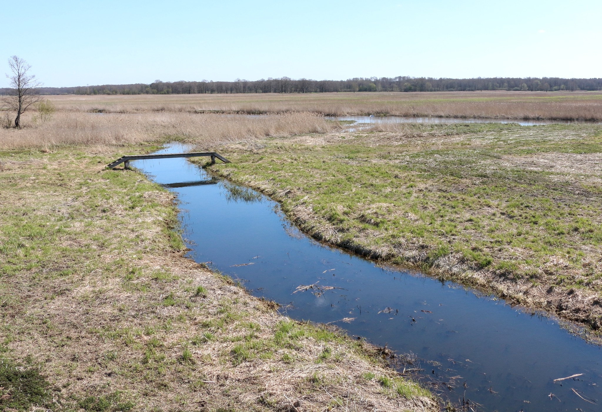 Narew - un fiume in Polonia