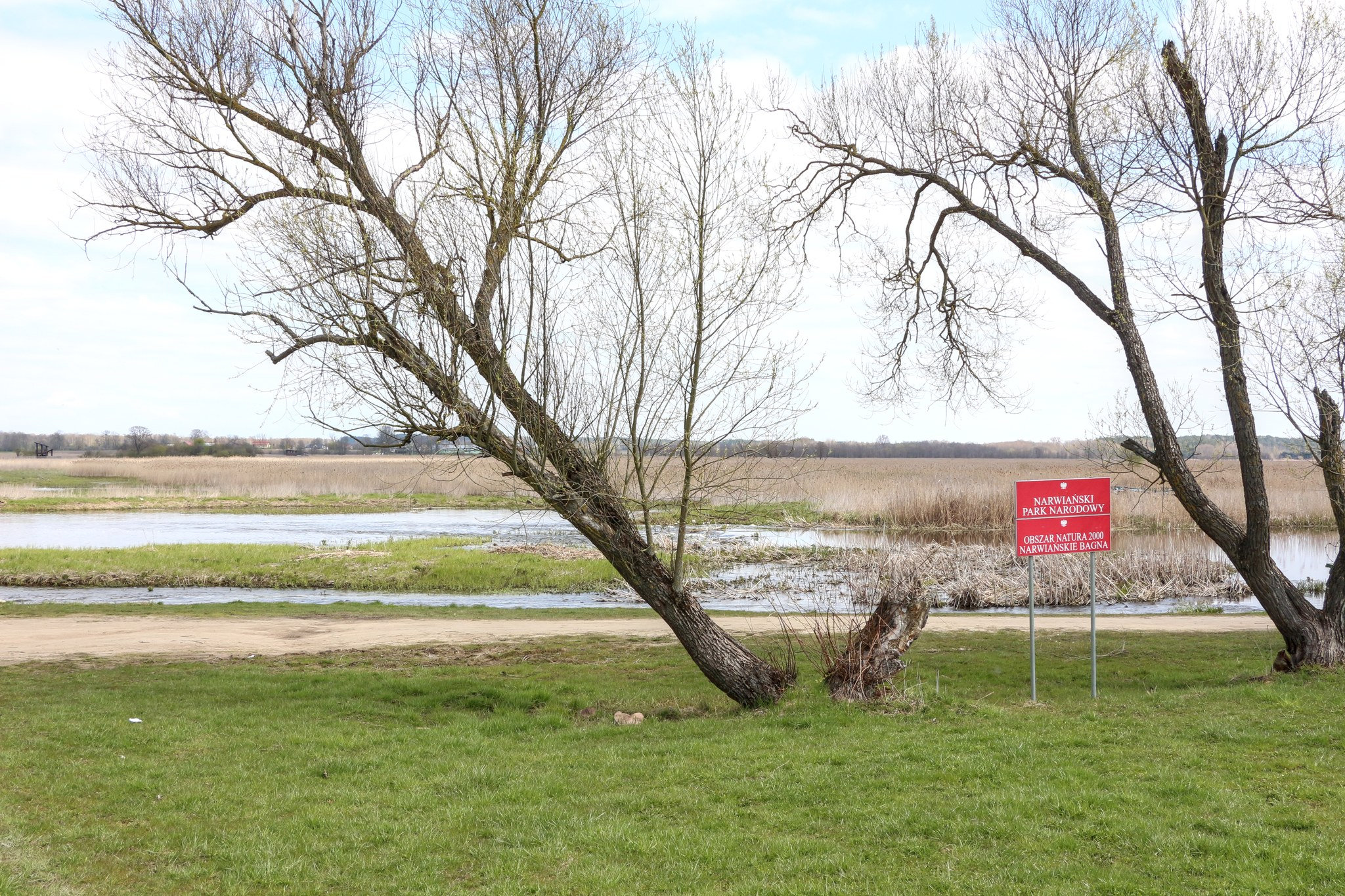 Parc national de Narew