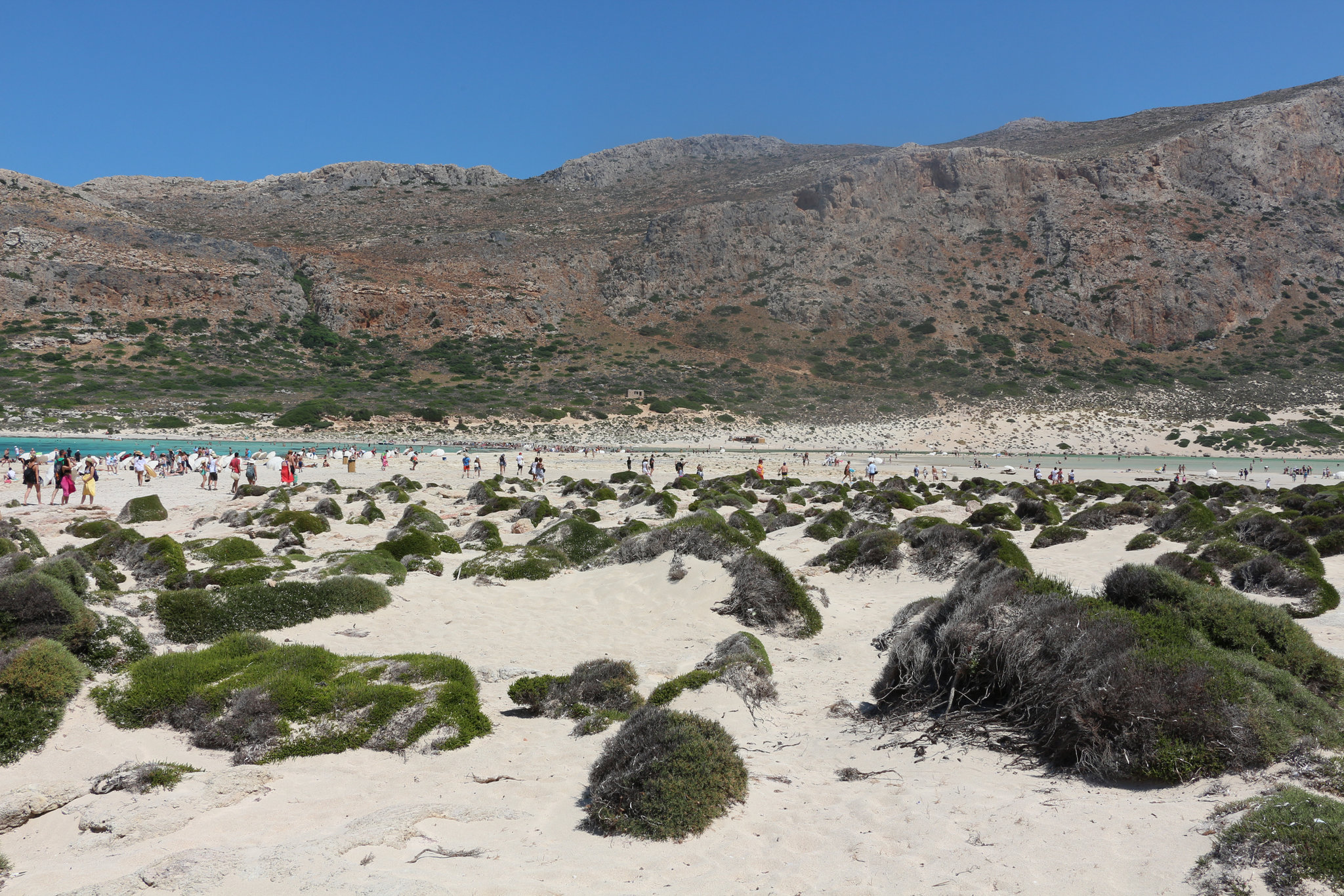 Balos beach - plants