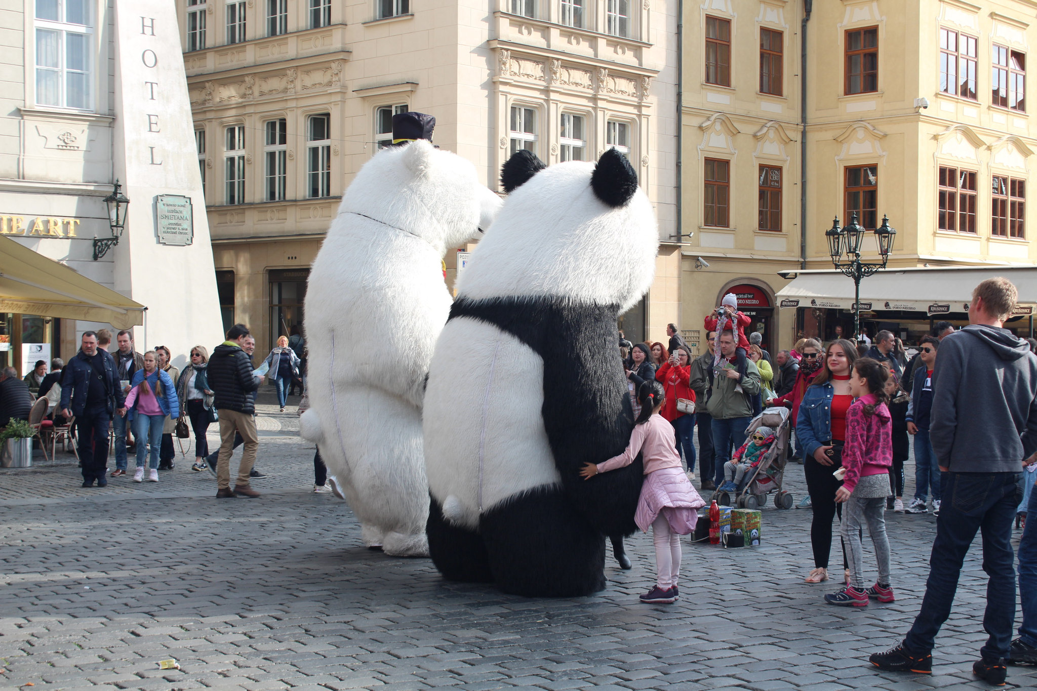 Bears – Prague Old Town Square