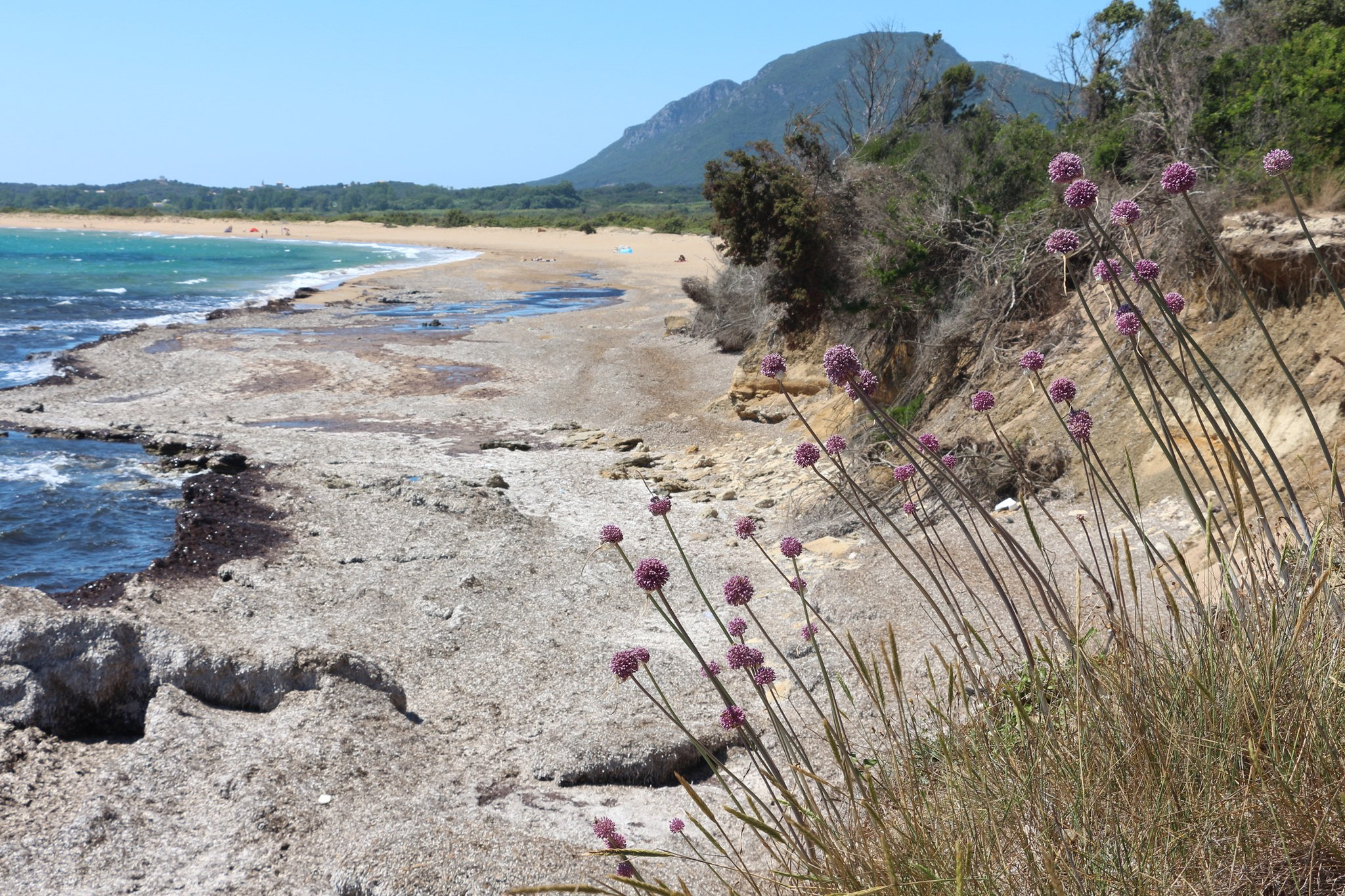 Chalikounas Strand